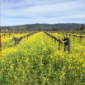 Meet your Posher, Tamara